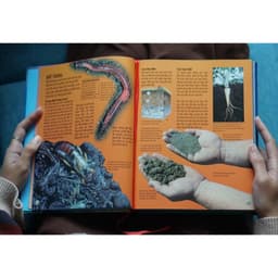 Thumbnail Sách Bách Khoa Toàn Thư Về Địa Lý - Kèm Atlas Thế Giới - Geography Encyclopedia (Đinh Tị) 2