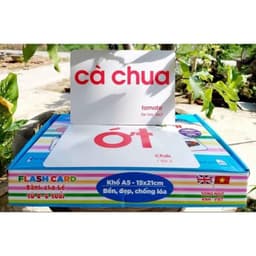 Thumbnail Thẻ học thông minh 16 chủ đề, Thẻ Flashcard Glenn Doman Khổ A5, Chống Thấm Nước, Thẻ Học A5 3