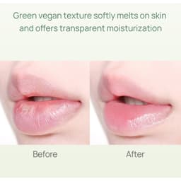 Thumbnail Son Dưỡng Thuần Chay Không Màu YNM Fresh Green Lip Balm, Son Vegan - Daily Beauty 4