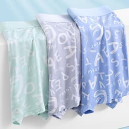 Thumbnail Ecmn Nam Mùa Hè Slim Fit Boxer Quần Đùi Ice Silk Thanh Niên Kháng Khuẩn Thể Thao Boxer Quần Lót 3