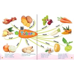 Thumbnail Sách - Mindmap Chinh phục từ vựng Tiếng Anh theo sơ đồ tư duy Mind map cho bé Đánh vần tập viết 2