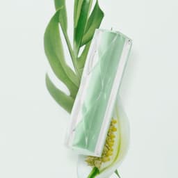 Thumbnail Son Dưỡng Thuần Chay Không Màu YNM Fresh Green Lip Balm, Son Vegan - Daily Beauty 3