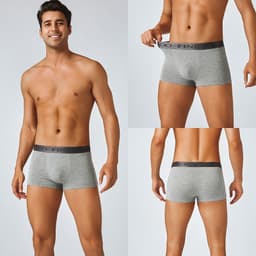 Thumbnail Finetoo Cotton Boxer Quần Lót Nam Thoáng Khí Thoải Mái Ngắn Thấm Hút Kháng Khuẩn Quần Lót S-XXL 2