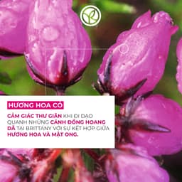 Thumbnail Combo 2 sữa tắm hương hoa cỏ và hương biển Yves Rocher 400mlx2 3