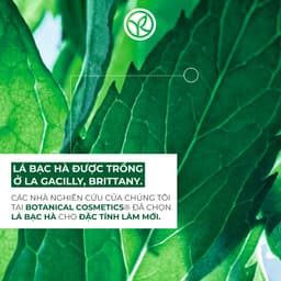 Thumbnail Sữa rửa mặt, tẩy tế bào chết và mặt nạ 3 trong 1 than hoạt tính Yves Rocher Pure Menthe 125ml 3
