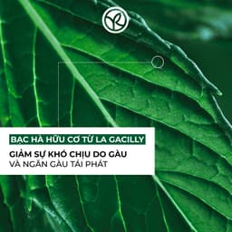 Thumbnail Dầu gội ngăn ngừa gàu Yves Rocher Anti-Dandruff Treatment Shampoo 300ml 3