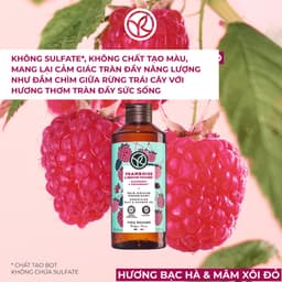 Thumbnail Combo 2 sữa tắm hương mâm xôi đỏ và hương biển Yves Rocher 400mlx2 1