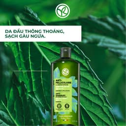 Thumbnail Dầu gội ngăn ngừa gàu Yves Rocher Anti-Dandruff Treatment Shampoo 300ml 2