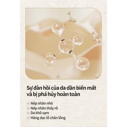 Thumbnail Set Ampoule Bergamo Chứa Collagen Và Lá Vàng Sang Trọng Chăm Sóc Nếp Nhăn Trên Da Và Làm Sáng Da 13mlx4 4