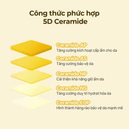 Thumbnail Dưỡng chất chăm sóc môi SOLID IN chứa Ceramide, 11ml, Lip Essence 1