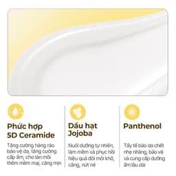 Thumbnail Dưỡng chất chăm sóc môi SOLID IN chứa Ceramide, 11ml, Lip Essence 3