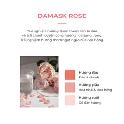 Thumbnail Dầu gội nước hoa hồng Damask 500ml [Dầu hoa hồng Damask 100%, Thành phần tự nhiên 90%, Hương thơm trái cây lâu trôi] 4