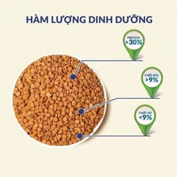 Thumbnail Thức ăn hạt cao cấp cho mèo khỏe toàn diện, tốt cho thận Max Well từ Nhật Bản -Vị gà/cá 1.5kg 3