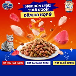 Thumbnail Thức ăn hạt giảm nôn trớ - hỗ trợ ăn ngon cho mèo mọi lứa tuổi từ Nhật Bản Silver Spoon - vị cá/gà - 800g/1kg 3