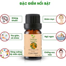 Thumbnail Tinh dầu Cam Ngọt nguyên chất TAMAS chai 10ml, tinh dầu xông phòng 1