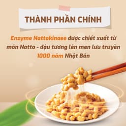 Thumbnail Hạ huyết áp NATTOKINASE Jintan Nhật Bản, Lẻ 7, 10, 15 gói (không có hộp) 4