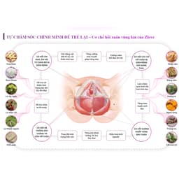 Thumbnail ZLV-Combo 4 Zlove Viên uống tăng cường sinh lý, làm hồng  se khít GrowGreenAz- Cân bằng nội tiết tố nữ( Hộp 50 viên) 2