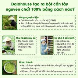 Thumbnail Bột cần tây sấy lạnh Dalahouse nguyên chất công nghệ đạt tiêu chuẩn Châu Âu 3