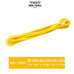 Thumbnail Dây Tập Kháng Lực Powerband Tập Toàn Thân Đa Năng Chính Hãng Đại Nam Sport (Hàng Xịn) 4