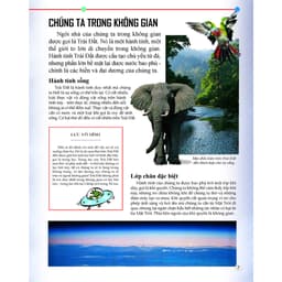 Thumbnail Sách - Bách khoa tri thức về khám phá thế giới cho trẻ em - Dành cho trẻ từ 6 tuổi - Nhiều chủ đề - Đinh Tị Books 2
