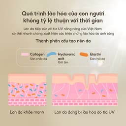 Thumbnail Tinh chất dưỡng da Age 20's Biomelift Concentrate Serum 40ml 3