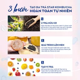 Thumbnail Thùng 12 lon trà lên men Star Kombucha mix 12 vị (250ml/lon) 2