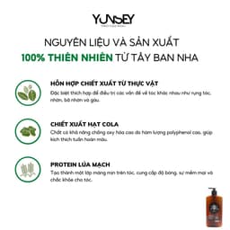 Thumbnail Dầu Gội Làm Sạch Tóc Và Dưỡng Tóc Dành Cho Nam Yunsey Shampoo For Men 380Ml 2