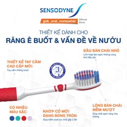 Thumbnail Bàn chải đánh răng SENSODYNE Sensitive & Gum với lông bàn chải mềm, giúp làm sạch răng nhẹ nhàng và bảo vệ nướu 2