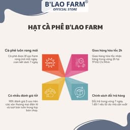 Thumbnail Cà phê ROBUSTA HONEY CAO CẤP B'Lao Farm rang mộc nguyên chất đắng đậm hậu vị ngọt thơm trái cây túi 250g/500g 2