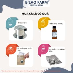 Thumbnail Cà phê ROBUSTA HONEY CAO CẤP B'Lao Farm rang mộc nguyên chất đắng đậm hậu vị ngọt thơm trái cây túi 250g/500g 3