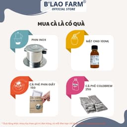 Thumbnail Cà phê ROBUSTA rang mộc nguyên chất B'Lao Farm gu truyền thống vị đắng đậm dành cho pha máy và pha phin Túi giấy R1 3