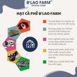 Thumbnail Cà phê ROBUSTA rang mộc nguyên chất B'Lao Farm gu truyền thống vị đắng đậm dành cho pha máy và pha phin Túi giấy R1 1