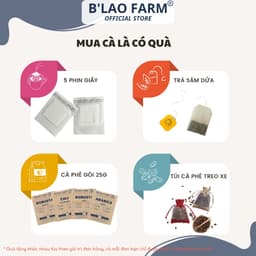 Thumbnail Cà phê ROBUSTA rang mộc nguyên chất B'Lao Farm gu truyền thống vị đắng đậm dành cho pha máy và pha phin Túi giấy R1 4
