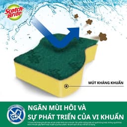 Thumbnail Cước rửa chén 3M™ Scotch-Brite®, kháng khuẩn, 2 mặt chống trầy, gói 3 miếng, xanh/ hồng, Làm sạch các vết bẩn cứng đầu 4