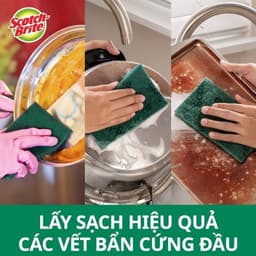 Thumbnail Cước rửa chén siêu sạch 3M™ Scotch-Brite®, sợi cước chất lượng cao, gói 5 miếng, 150x100mm 3