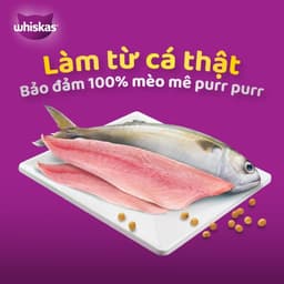 Thumbnail WHISKAS Combo 3 Thức Ăn Cho Mèo Trưởng Thành Dạng Pate Mix 3 Vị 400G (dạng lon) 3