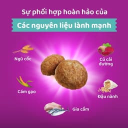 Thumbnail Thức ăn dạng hạt cho mèo trưởng thành nuôi trong nhà WHISKAS, 1.1 kg 2