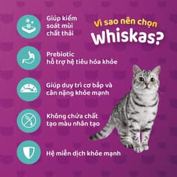 Thumbnail Thức ăn dạng hạt cho mèo trưởng thành nuôi trong nhà WHISKAS, 1.1 kg 1