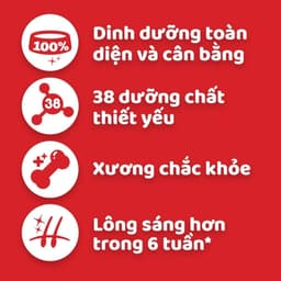 Thumbnail Bộ 2 túi thức ăn PEDIGREE® cho chó lớn dạng hạt 1.5kg (2 túi) 2