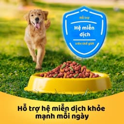 Thumbnail Bộ 2 túi thức ăn PEDIGREE® cho chó lớn dạng hạt 1.5kg (2 túi) 1