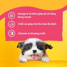 Thumbnail Thức Ăn Cho Chó Con Dạng Sốt PEDIGREE NutriDefence - Vị Bò, Trứng và Rau (80g, 12 Gói) 4