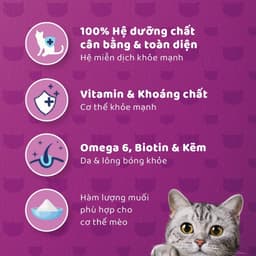 Thumbnail WHISKAS Thức Ăn Cho Mèo Trưởng Thành Dạng Pate 400G (dạng lon) 2