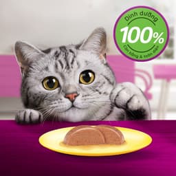 Thumbnail Thức Ăn Cho Mèo Lớn Dạng Sốt WHISKAS - 80g (12 gói) - Dinh Dưỡng Hoàn Thiện & Cân Bằng Cho Mèo Từ 1 Tuổi 2