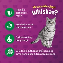 Thumbnail Thức ăn mèo Whiskas túi 480g 2