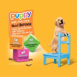 Thumbnail Thức ăn cho chó con dạng hạt Pedigree vị gà & trứng túi 400g 1