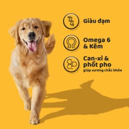 Thumbnail Thức Ăn Dạng Hạt Khô Cho Chó Lớn PEDIGREE Vị Gà Và Rau Củ, 1.5kg 3