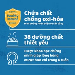 Thumbnail Thức Ăn Dạng Hạt Khô Cho Chó Lớn PEDIGREE Vị Gà Và Rau Củ, 1.5kg 2