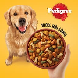 Thumbnail Thức Ăn Dạng Hạt Khô Cho Chó Lớn PEDIGREE Vị Gà Và Rau Củ, 1.5kg 1