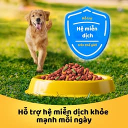 Thumbnail Thức Ăn Dạng Hạt Khô Cho Chó Lớn PEDIGREE Vị Bò Và Rau Củ 2