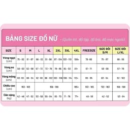 Thumbnail Quần lót nữ iBasic phom bikini cotton USA kháng khuẩn PANY085 3